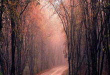 仿卢松松博客Z-BlogPHP主题模板特价68