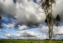 织梦dedecms二次开发小课程 给自定义表单添加验证码功能