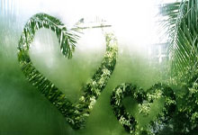 仿卢松松博客Z-BlogPHP主题模板特价68