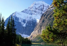 卢松松一年赚多少钱？卢松松是谁为什么出名